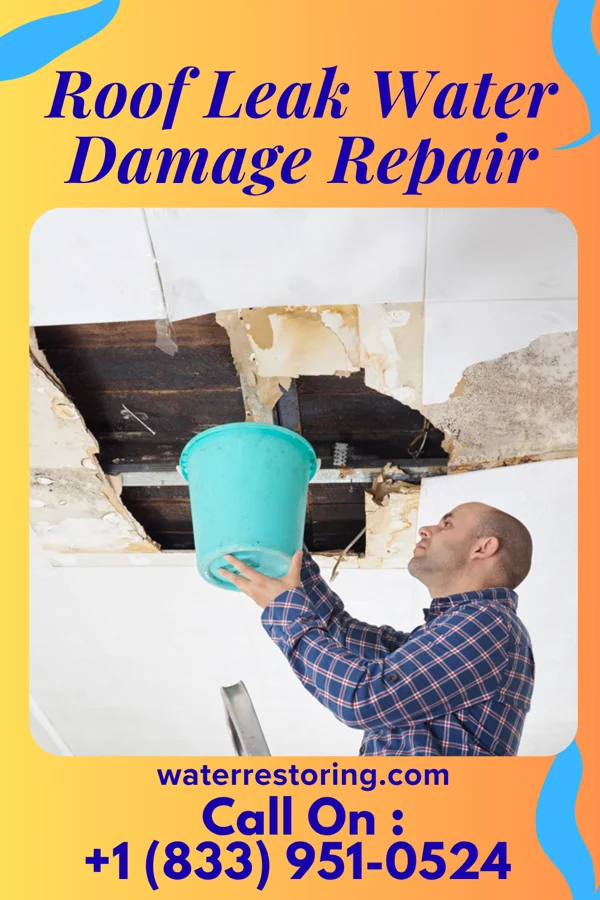 Roof Leak Water Damage Repair in Jayton, TX