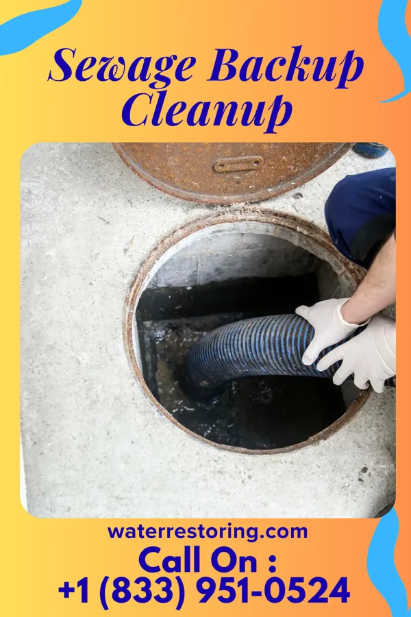 Sewage Backup Cleanup in Jayton, TX